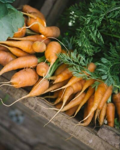 Organic carrots the Wednesday Market at Old Nick Village
